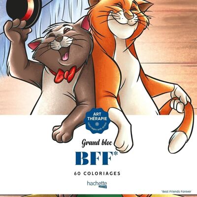 LIVRE DE COLORIAGE - Grand bloc Disney BFF