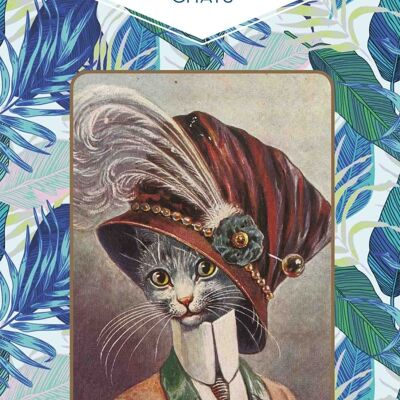 LIBRO - Il piccolo libro dei gatti