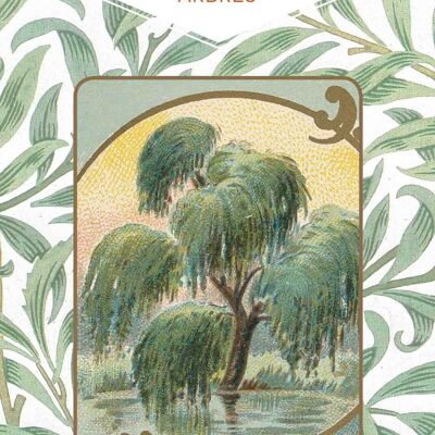 LIBRO - Il piccolo libro degli alberi
