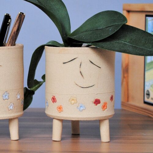 Smiley Face Planter With Legs And Bright Flowers