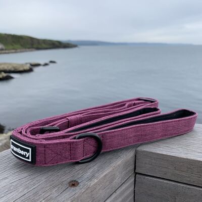 Double Handle Dog Leash - Purple