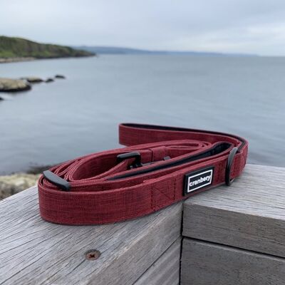 Double Handle Dog Leash - Red