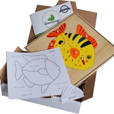 MaMontessoriBox Puzzle pesce zoologico