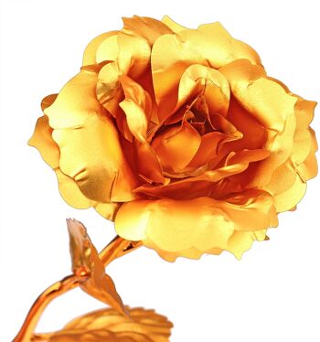 Feuille d'or rose 4