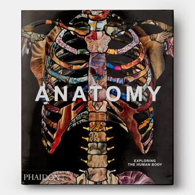 Anatomy: Exploring the Human Body