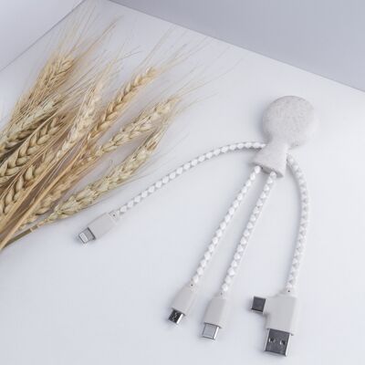 🔌 Cable Mr Bio Wheat Wheat 🔌