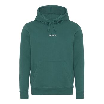 Sweat à capuche Noos vert poussiéreux 1