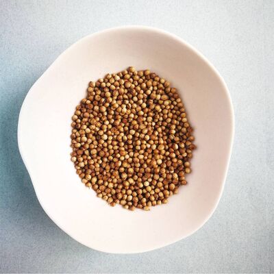 Coriander (seeds) BIO, 500gr (bulk)
