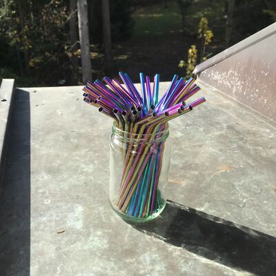 Curved stainless steel straw "Rainbow" (L = 21.5cm / D = 6mm)