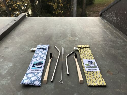 Kit "Héros du Zéro" - Etui + 2x pailles inox + brosse à dents biodégradable