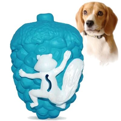 Acorn Tough & Strong Dog Enrichment Treat Toy / Tooth Cleaning Chew Toy - Medium - Icy Blue