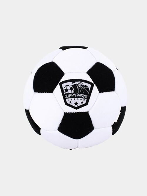 Sportballz – Soccer