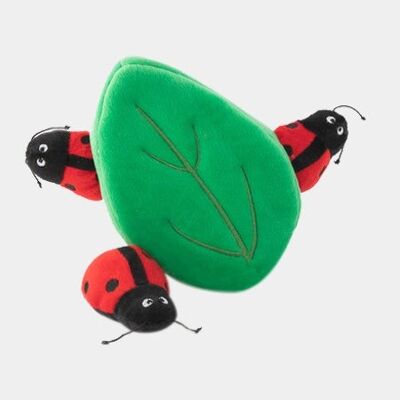 Zippy Burrow – Ladybugs in Leaf