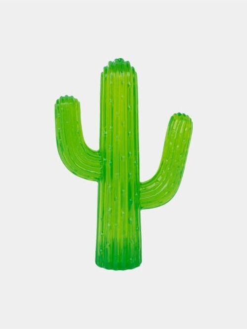 ZippyTuff Cactus