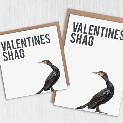 Carte d'oiseau Rude Valentine's Day - Valentines Shag