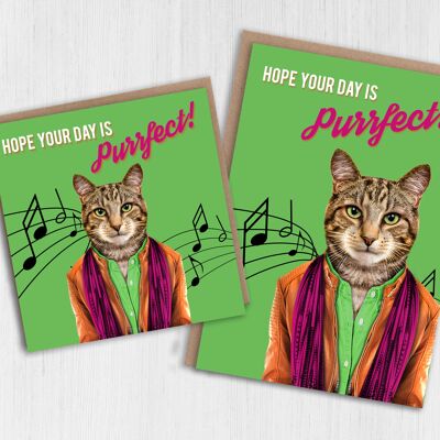 Tarjeta de cumpleaños de gato: Espero que tu día sea perfecto (Animalyser)