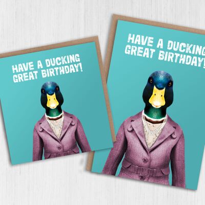 Biglietto d'auguri anatra: Ducking grande compleanno (Animalyser)