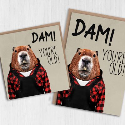 Beaver birthday card: Dam! You're old (Animalyser)