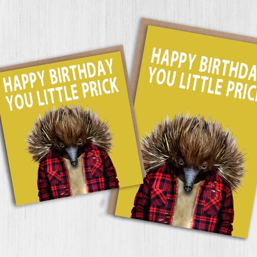 Echidna birthday card: Happy birthday you little prick (Animalyser)