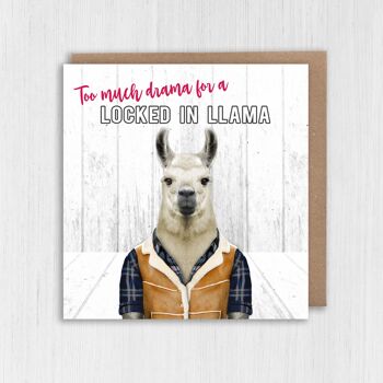 Carte d'anniversaire de confinement : Enfermé dans le lama (Animalyser) 2
