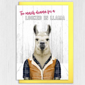 Carte d'anniversaire de confinement : Enfermé dans le lama (Animalyser) 3