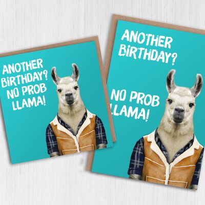 Carte d'anniversaire Lama : Un autre anniversaire ? Pas de prob lama (Animalyser)