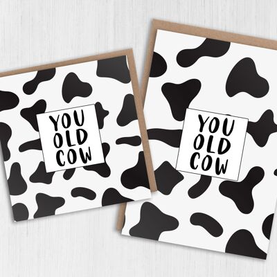 Birthday card - You old cow