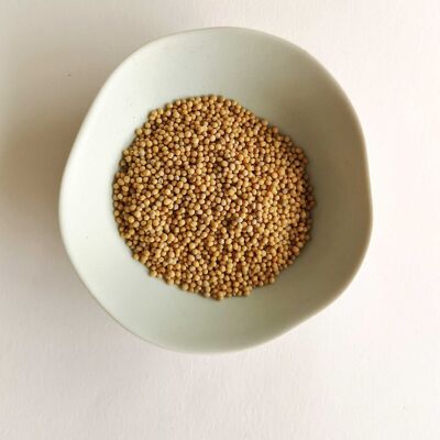 Blonde mustard (seeds) BIO, 500gr (bulk)