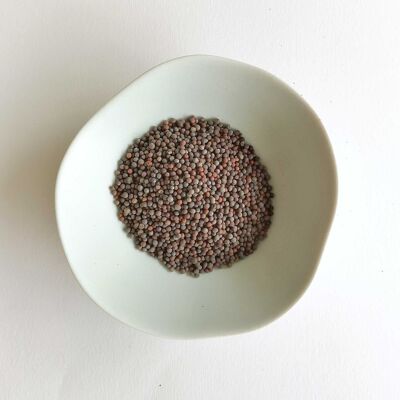 Brown mustard (seeds) BIO, 500gr (bulk)