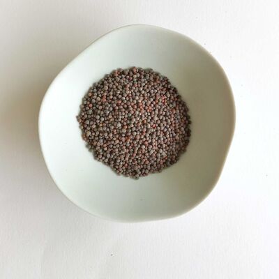 Brown mustard (seeds) BIO, 500gr (bulk)