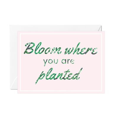 Bloom Where You Are Planted Greeting Card
