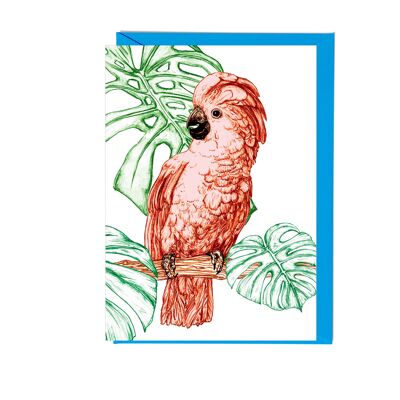 Cockatoo Greeting Card