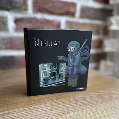 Dentro de 3 Legend Ninja