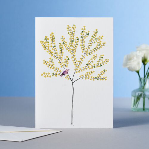 Ginkgo Tree Card