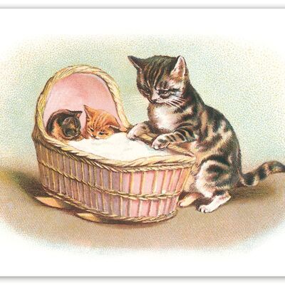 Cat cradle postcard