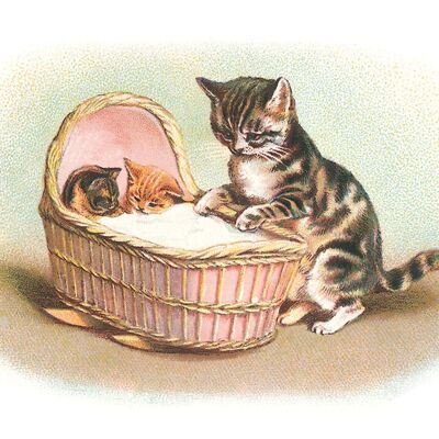 Postal de cuna de gato