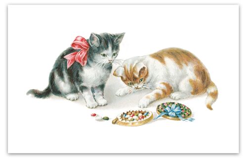 Carte postale chats chocolats