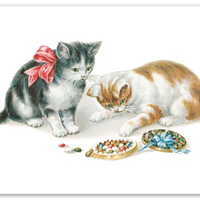 Postkarte mit Schokoladenkatzen