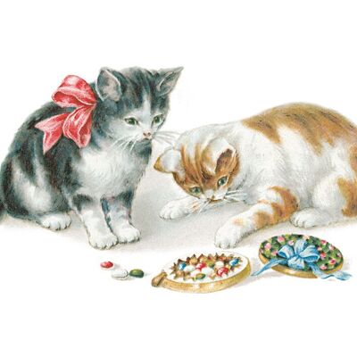 Chocolate cats postcard