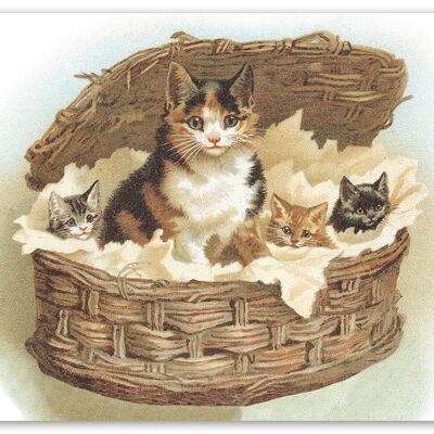 Carte postale chats panier