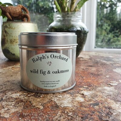 Wild Fig & Oakmoss umweltfreundliche vegane Duftkerzen aus Soja