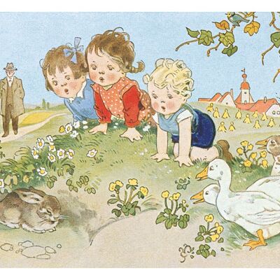 Kaninchen-Postkarte