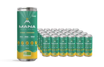 MANA Natural Energy - Citron & Gingembre - 250mL 2