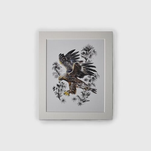 Print - Eagle and Eyebright