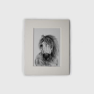 Print - Staig (Pony) Mini Print