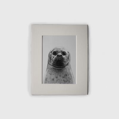 Print - Sylkie (Seal) Mini Print