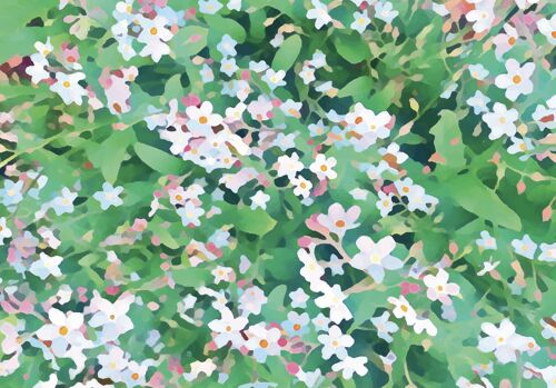 Pretty Forget-me-Nots Flowers Wrapping Paper with FREE GIFT TAG