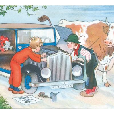 Cow Postcard