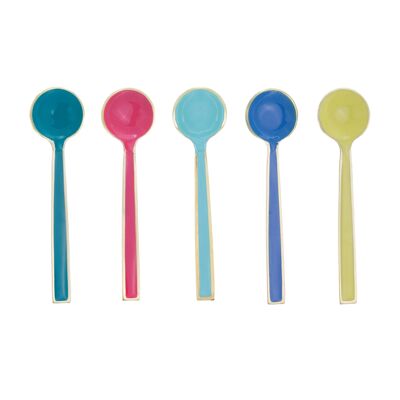 Enamel and Brushed Spoons - Set of 5