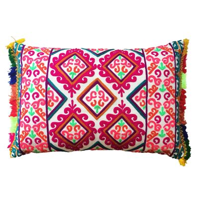 Fiesta Embroidered Cushion